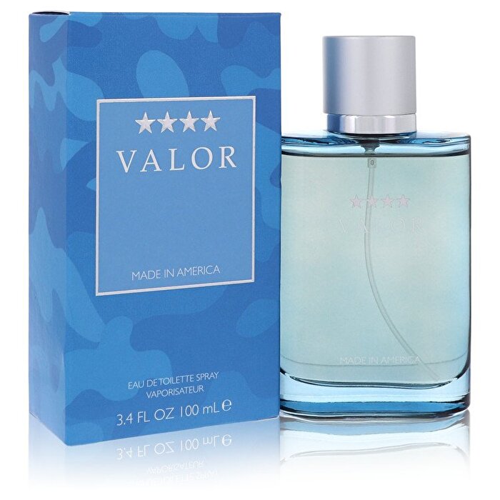 Dana Valor Eau De Toilette Spray 100ml/3.4oz